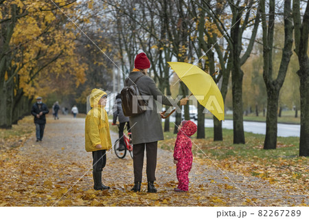 Mom and children are walking in the autumn park. Yellow fallen leaves. Back view 82267289