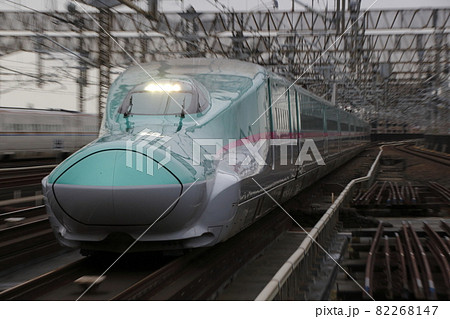 東北新幹線E5系（単独・流し撮り） 82268147