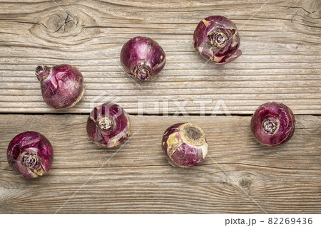 hyacinth bulbs abstract hyacinth bulbs abstract 82269436
