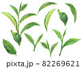 水彩抹茶の葉っぱの素材集 82269621