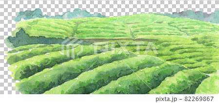 水彩茶園 水彩茶園 82269867