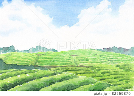 水彩茶畑のはがきテンプレート3 水彩茶畑のはがきテンプレート3 82269870
