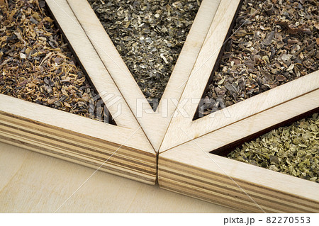 four seaweeds abstract four seaweeds abstract 82270553