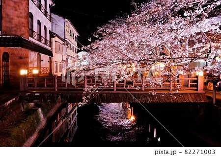 城崎夜の桜並木 82271003