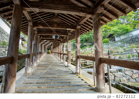 奈良県桜井市 長谷寺の回廊横に咲く牡丹の花とお坊さん 奈良県桜井市 長谷寺の回廊横に咲く牡丹の花とお坊さん 82272112