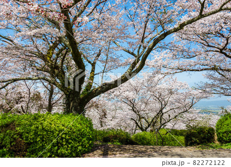 発心公園 82272122