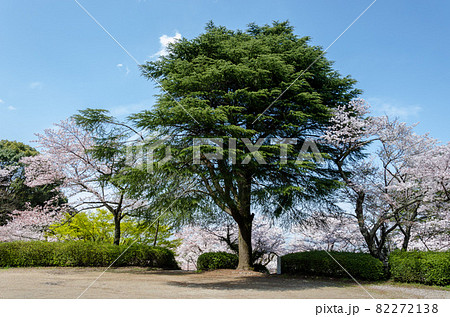 発心公園 82272138