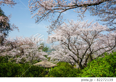 発心公園 82272139