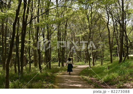 早春の雑木林を散策する女性の遠景 82273088