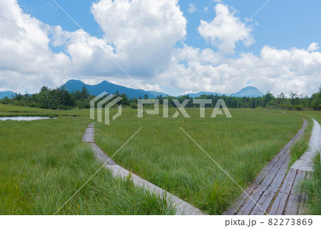鬼怒沼湿原 鬼怒沼湿原 82273869