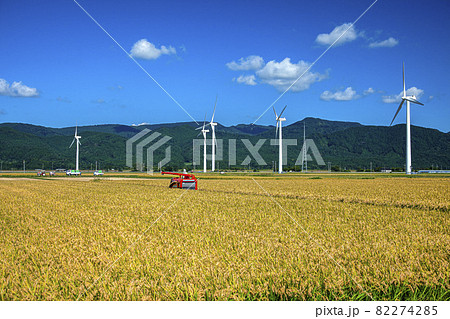 収穫の時 収穫の時 82274285