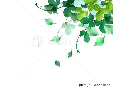 水彩の葉っぱイラストのイラスト素材