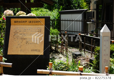 政子の井戸 82275378