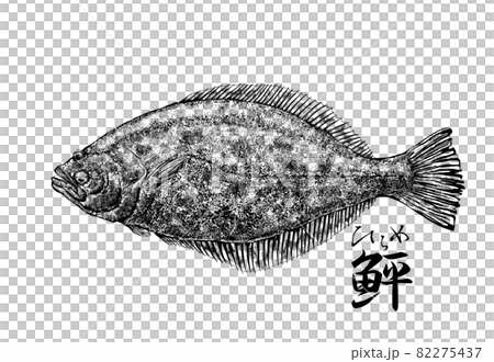 ヒラメのイラスト - 背景透過 - 切り抜かれていますのイラスト素材