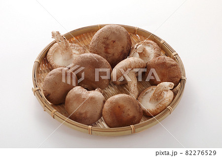 椎茸 椎茸 82276529