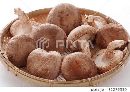 椎茸 椎茸 82276530