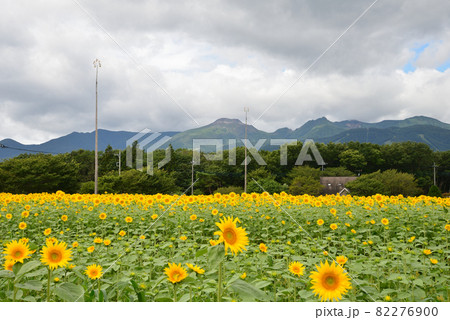 那須ハートフルファームへ行きました　＃10 82276900