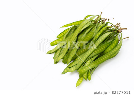 Young fruit of Leucaena leucocepphala on white background. 82277011