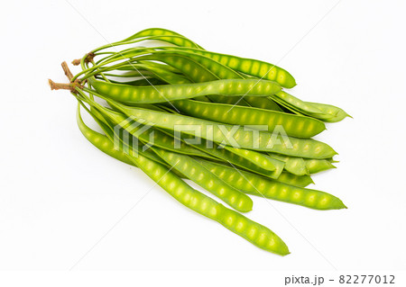 Young fruit of Leucaena leucocepphala on white background. Young fruit of Leucaena leucocepphala on white background. 82277012