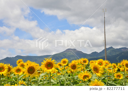 那須ハートフルファームへ行きました　＃47 82277711