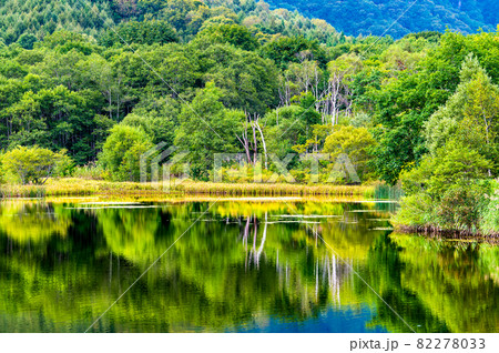 長野県戸隠 夏の鏡池 82278033