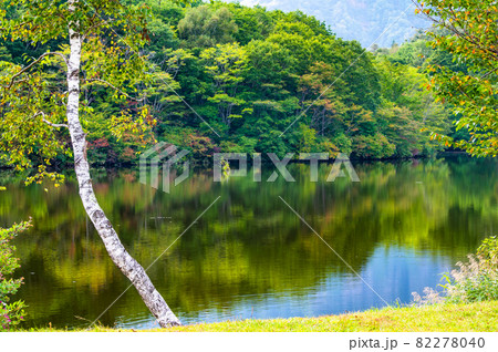 長野県戸隠 夏の鏡池 82278040