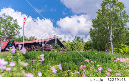 「山梨県」夏の清里・清泉寮 82279148