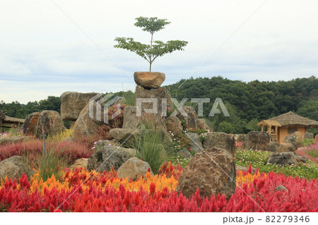 風景 草花 秋 82279346