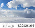 地吹雪の津軽半島 82280104