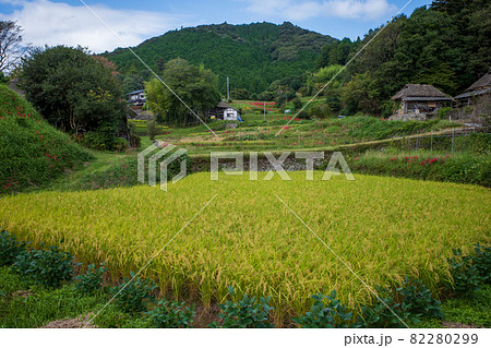日本の岡山県備前市の八塔寺ふるさと村の美しい田園風景 82280299