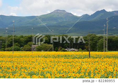 那須ハートフルファームへ行きました　＃74 82280955