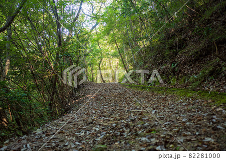 日本の岡山県備前市の八塔寺山の美しい風景 日本の岡山県備前市の八塔寺山の美しい風景 82281000