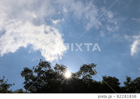 逆光で黒っぽく見える緑の樹と太陽と輝きわずかに色づく雲と色々な種類の白い雲と灰色の雲と青空のある風景 82281836