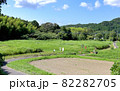 夏のいすみ鉄道　踏切のある風景 82282705