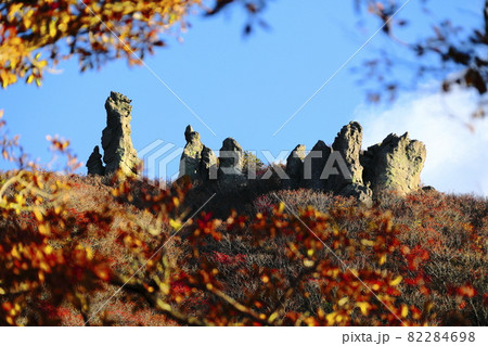 秋 スポット 森林 82284698