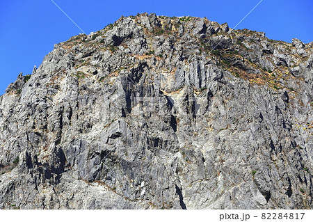 山 森林 岩 82284817