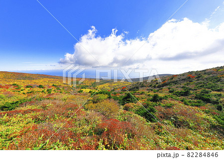 秋 紅葉 山 82284846