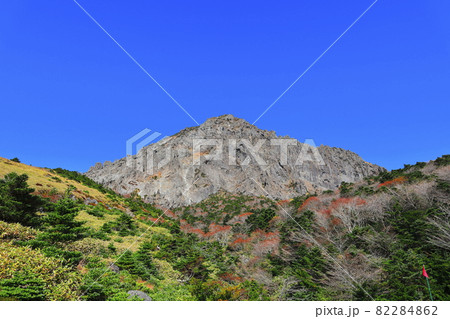 秋 山 森林 82284862