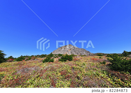 秋 山 森林 82284873