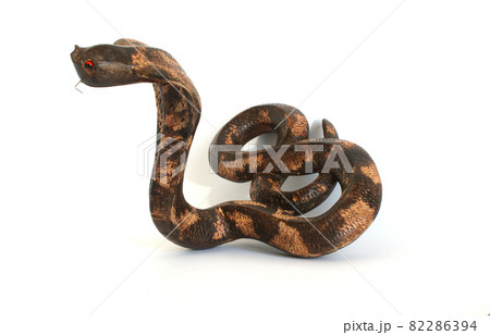 Souvenir figurine of a large cobra (tree), isolated on white 82286394