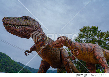 九頭竜恐竜 82286436
