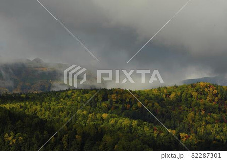 紅葉と雲海 紅葉と雲海 82287301