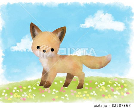 キタキツネのイラスト素材