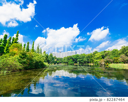 吉祥寺　井の頭公園 82287464