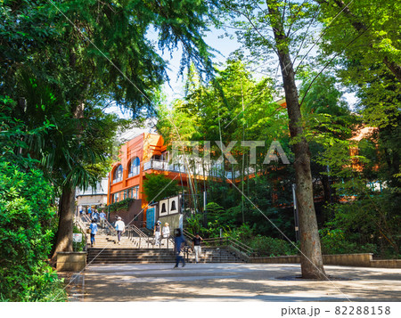 吉祥寺　井の頭公園 82288158