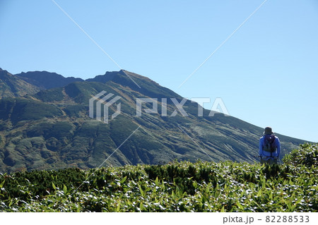 鳥海山の登山道 82288533