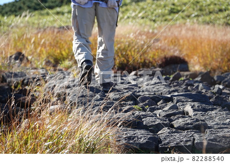 鳥海山の登山道 82288540