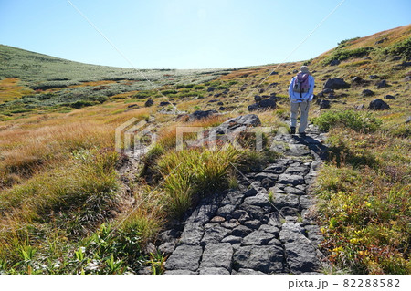 鳥海山の登山道 82288582