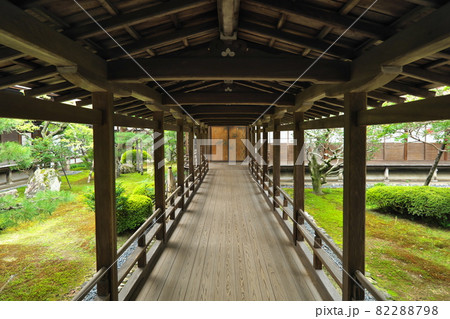 大覚寺 村雨の廊下 82288798
