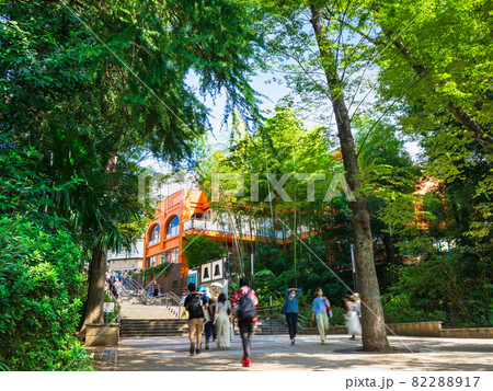 吉祥寺 休日の井の頭公園 吉祥寺 休日の井の頭公園 82288917